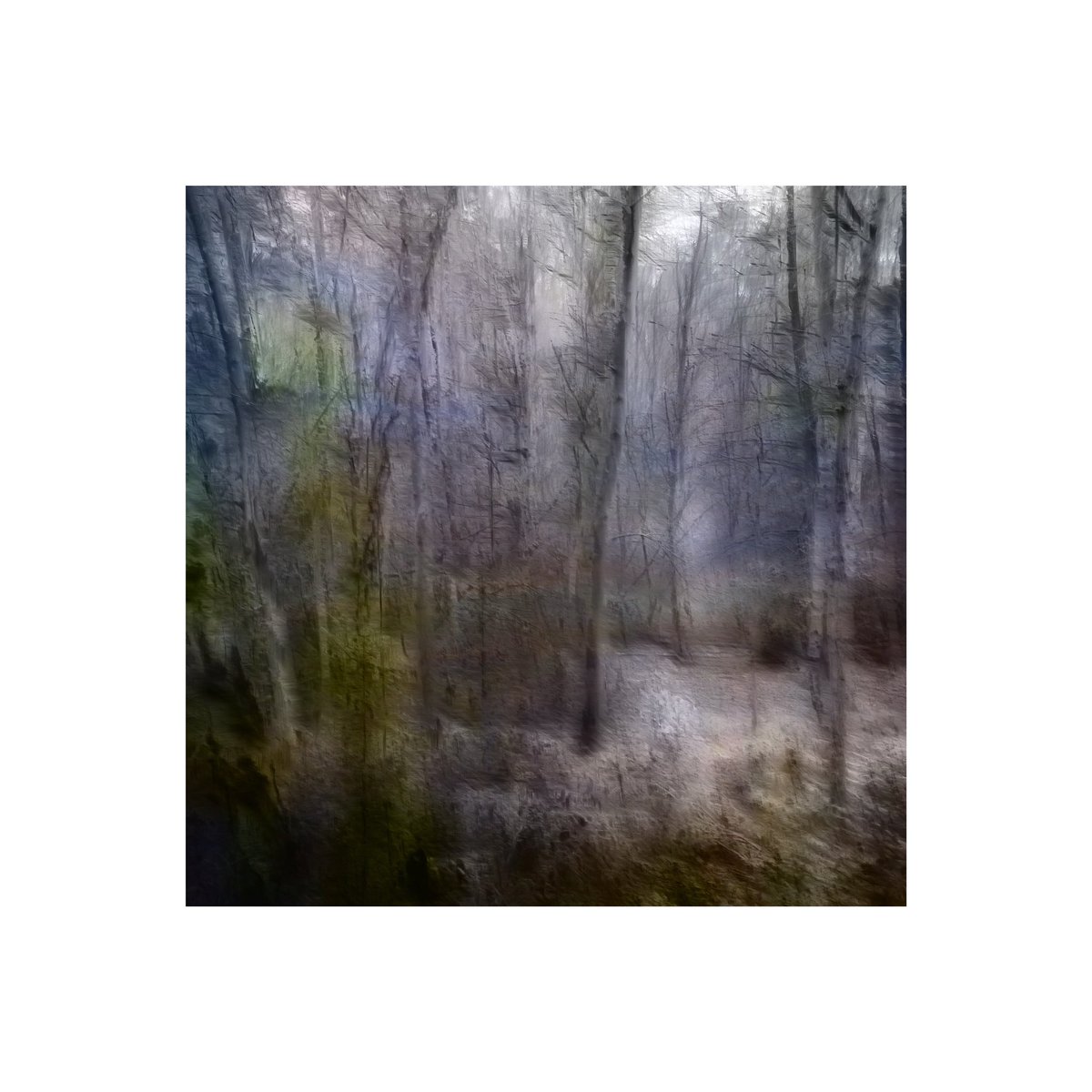 day 174 365 days of icm photography  #icmphotography #icm #intentionalcameramovement #abstractphotography #abstract #icmphoto #icmphotomag #impressionistphotography #bluronpurpose #camerapainting #fieldrecording #audiophotography #365in2023
