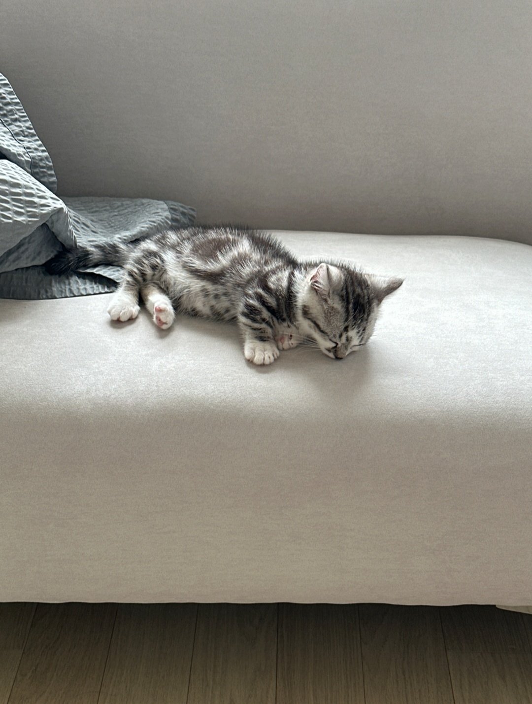 on-twitter-230624-01-14pm-kst-sleep-after-eating-as