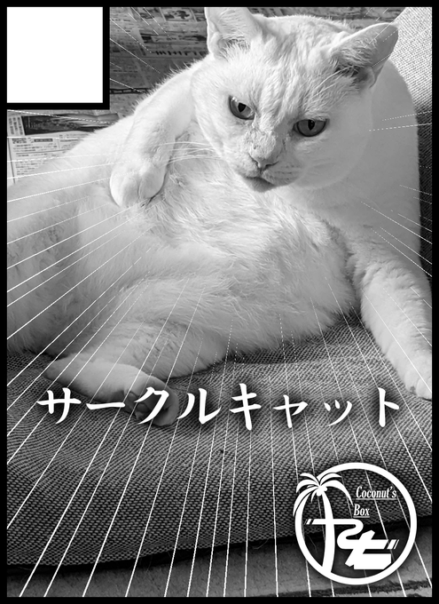 紅楼夢のサークルカット、一週間考えた挙句これになった 