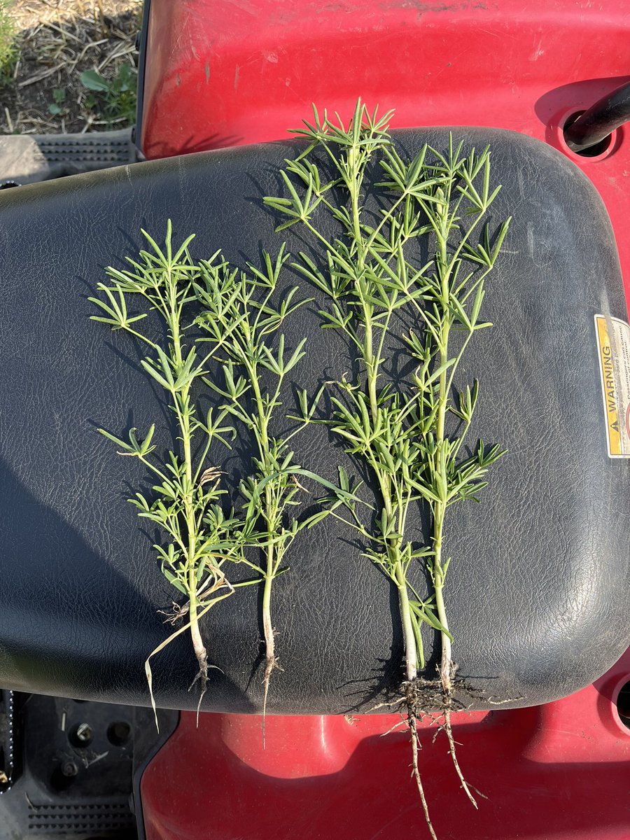 Scott Keller tweet media