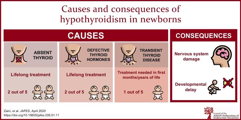 Parents of kids with congenital hypothyroidism. 

-Is there a role for thyroid antibody testing (a doctor suggested)
-Will this affect future fertility?
-Did this happen because mother had hypothroidism detected right before pregnancy
-Is it okay to have another baby?

#OPD Q&As.