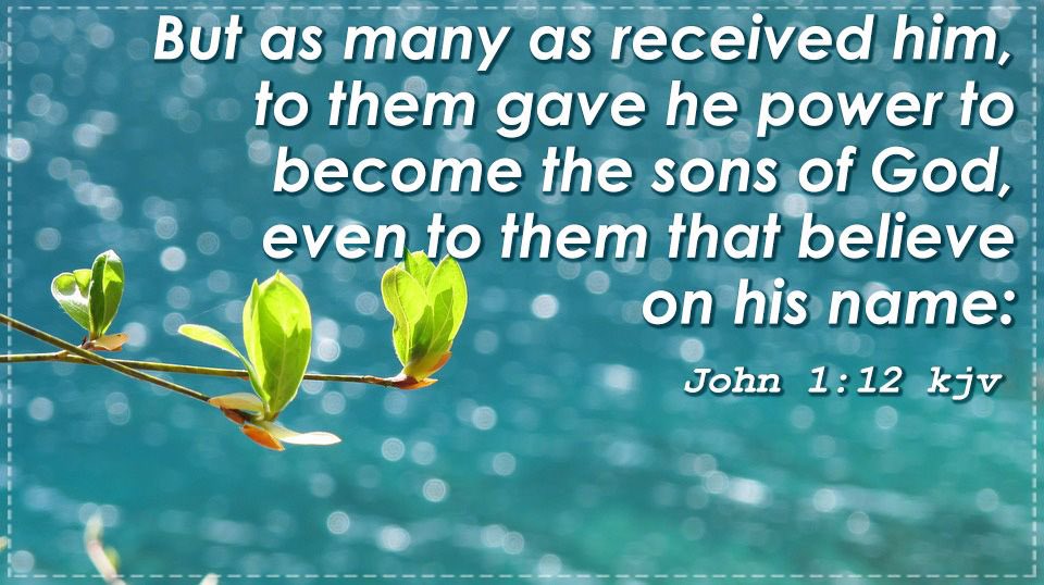 lion of Judah tweet media