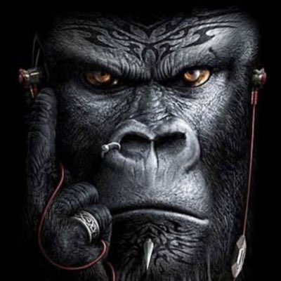 K2King1's tweet photo. #NewProfilePic https://t.co/TF6dI44h9q