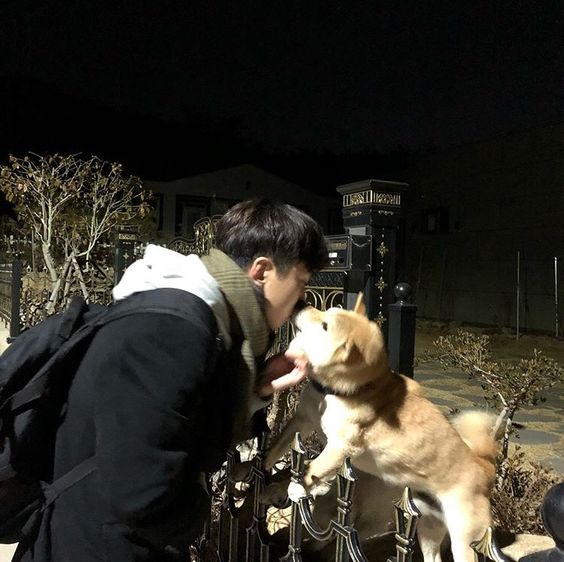 itsgakku's tweet photo. ⠀⠀ ▚▚ ⠀⠀⠀@. 𝗴𝗮𝗸𝘂 ⠀⠀ ︵⃨ ⃝ 𓏸 ⠀ sitᥱ⠀⠀⁎ ▒⃕ ・ ⠀ ⠀⠀ up⠀ ⠀ꦿ︎⏝ ⠀ da ܓ ⠀ tᥱ⠀⠀ 𝅄 ︎ 𑄽୧ ︎ ⠀ #1stchocomonth⠀ྲྀ #chocoparty 𓊇
Zei me acompañó a fumar y lo atacó un perro, my poor boy. https://t.co/bZEJPgplIy