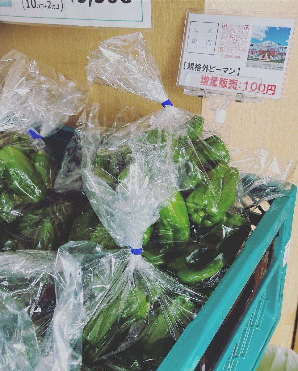 yoemonfarm's tweet photo. なんとかやりたかったことが出来てひと安心です😄
・規格外ピーマンの販売
・福祉施設への寄付 https://t.co/hLySL3FIgx