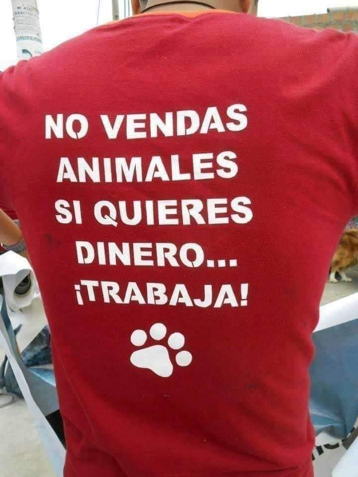 Gracilaria235's tweet photo. #24Jun Guaooo si en Vzla hubiera justicia!! #ISOLINARAMIREZ véase en éste espejo. POR LO PRONTO ACOMPAÑAREMOS A @NuriTrejo en el #TWITTAZO Hoy a las 7:00 pm hora VE. NO PERMITAMOS QUE SE SALGAN CON LA SUYA #LuluEsDeTodos #DevuélvanALulu #Seguimos #SeBusca https://t.co/djhHKJhGoX