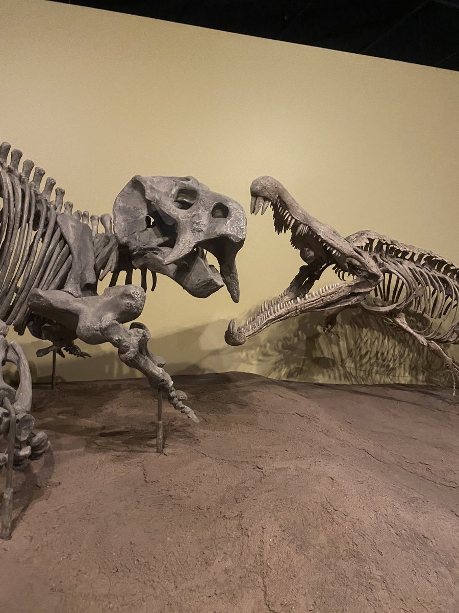 Thank you to the #NMMNHS for such a wonderful experience! We had so much fun! 🦖 🦕🦴#Evol2023 #nightatthemuseum #enardlab