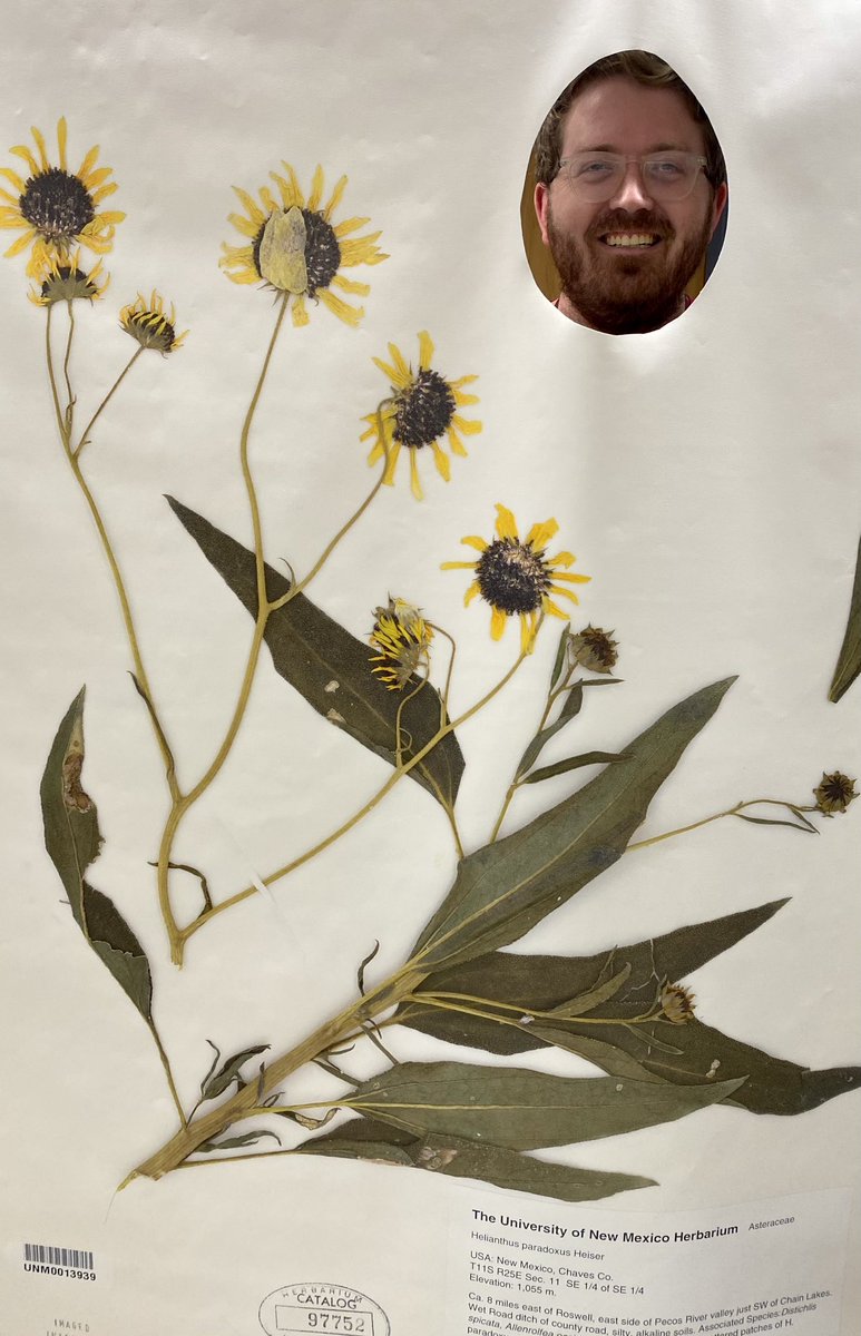 Was blown away with the sheer amount and quality of specimens at the #UNM_MSB  So amazing!