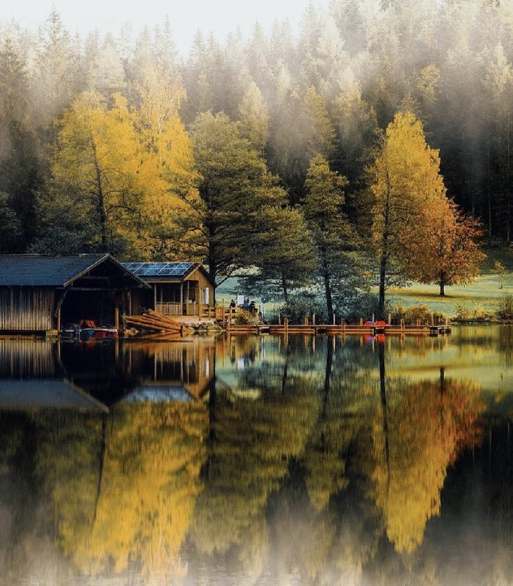 🌲🍁📸Austria🇦🇹#Photography #Nature