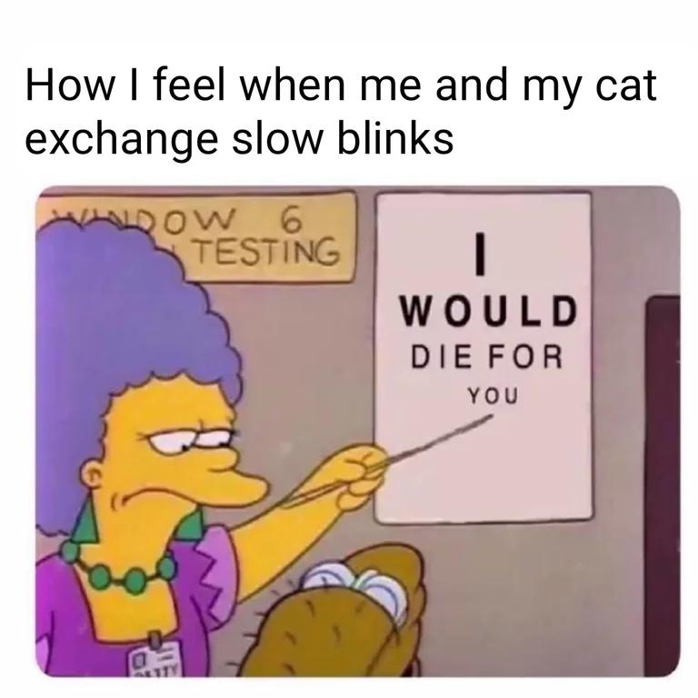 WholesomeMeme's tweet photo. https://t.co/GijLXKMthA