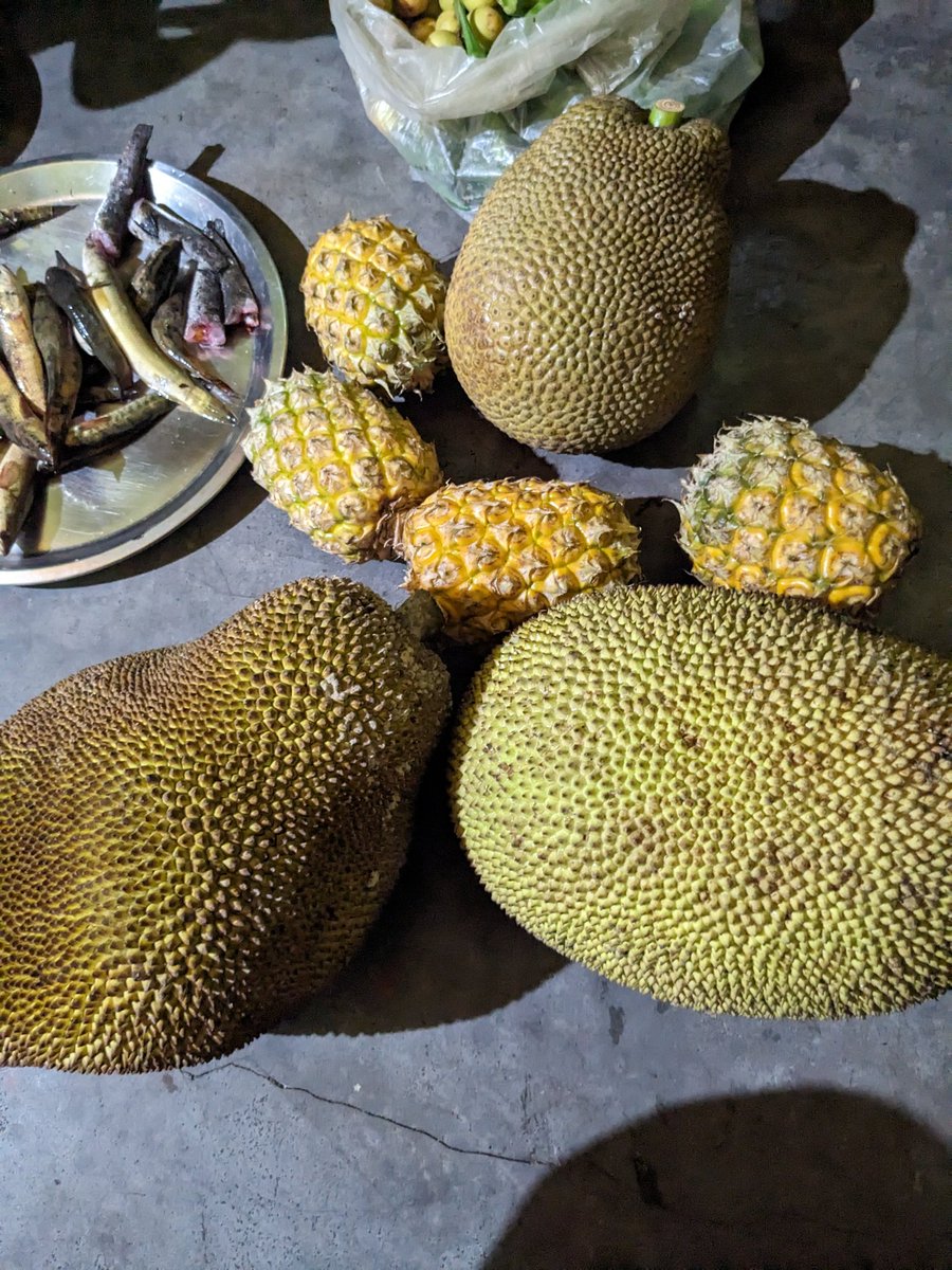 MNC🏹 on Twitter "Time for some local fruits... Jackfruit and Pineapple."