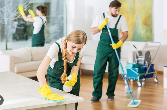 finelib's tweet image. From using vinegar to baking soda, here are 7 eco-friendly cleaning solutions you can use to keep your home sparkling clean without damaging the environment: buff.ly/42GvNtr 

#cleaningagency #homecleaningtips #cleaningsolution #viralpost