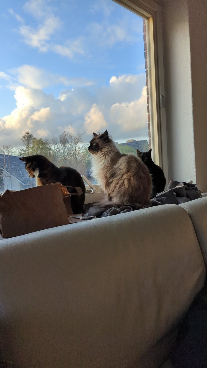 Luigi Florence tweet media