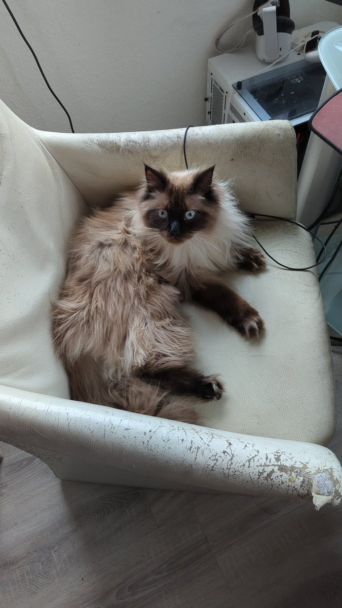 Luigi Florence tweet media