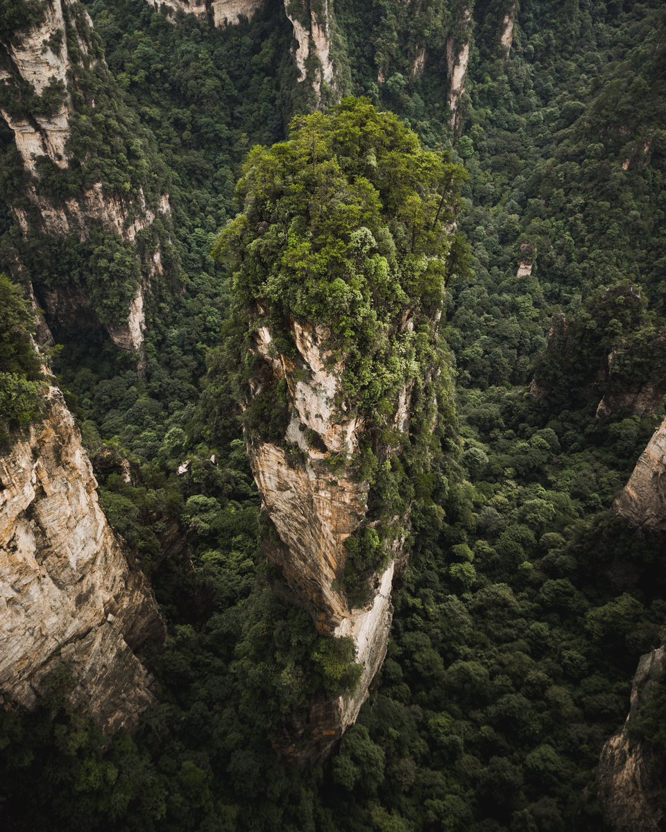 Sjoerd Bracké tweet media