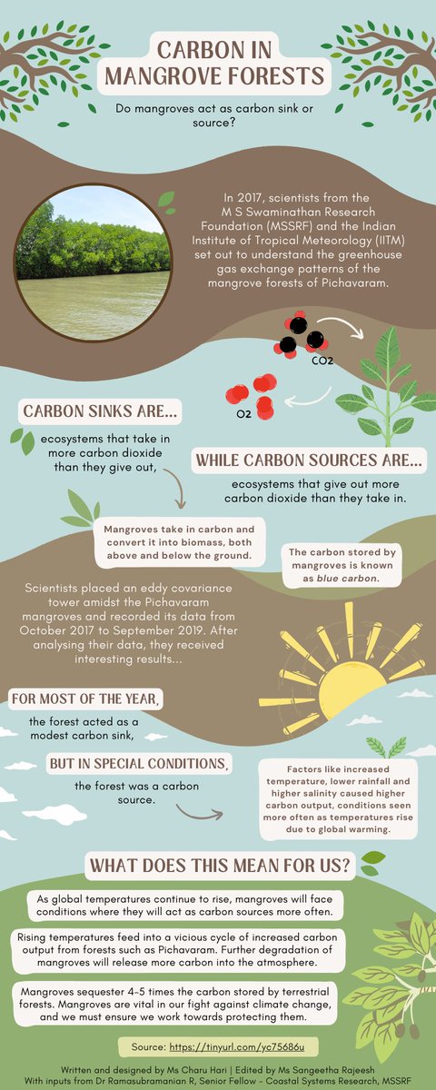 Do #mangrove forests act as carbon sink or source⁉️

Click on @mssrf infographic below👇to discover what the #Pichavaram mangrove #forest means for us!

@Mangroves @IUCN_Mangrove @WetlandsInt @RamsarConv @WetlandsInt_SA @WetlandsTWI @IUCN_forests @FAOclimate @UNFCCC @IPCC_CH