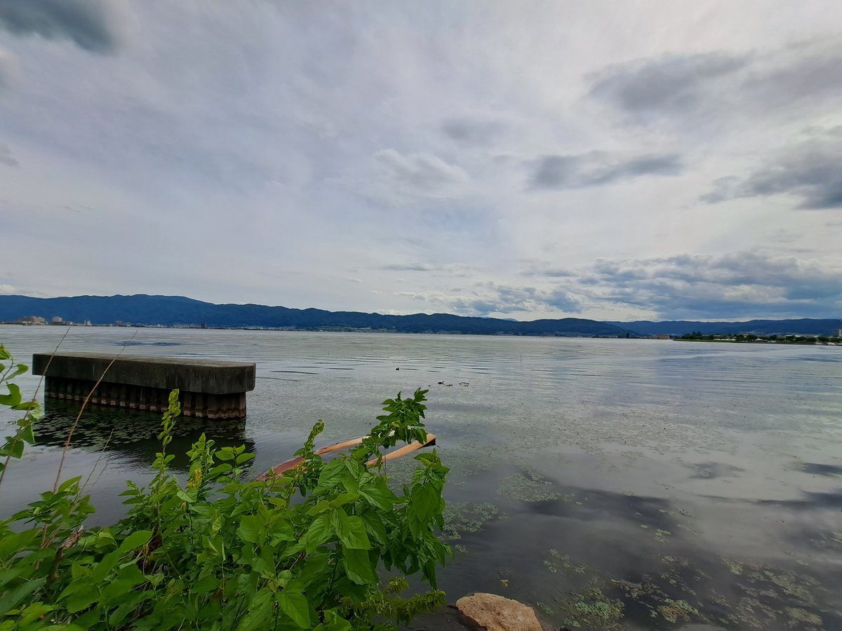 SUWA LAKE
～カルガモ親子を添えて～