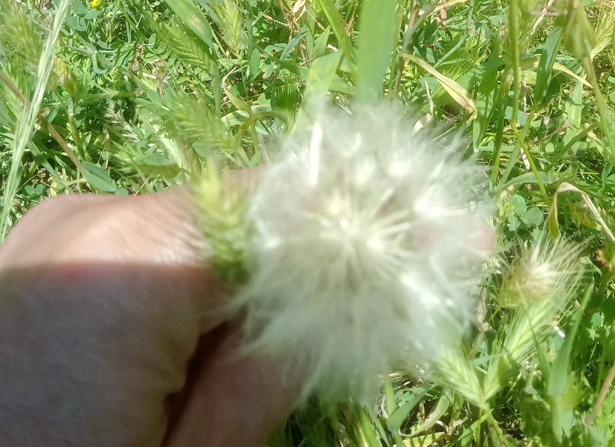 Güne
Bir Söz Bırakalım.

Kendi kazdığı kuyuya kendi düşenler bile Kendini Hz. Yusuf ilan ediyor.

Hayırlı sabahlar
Dua ile🌿