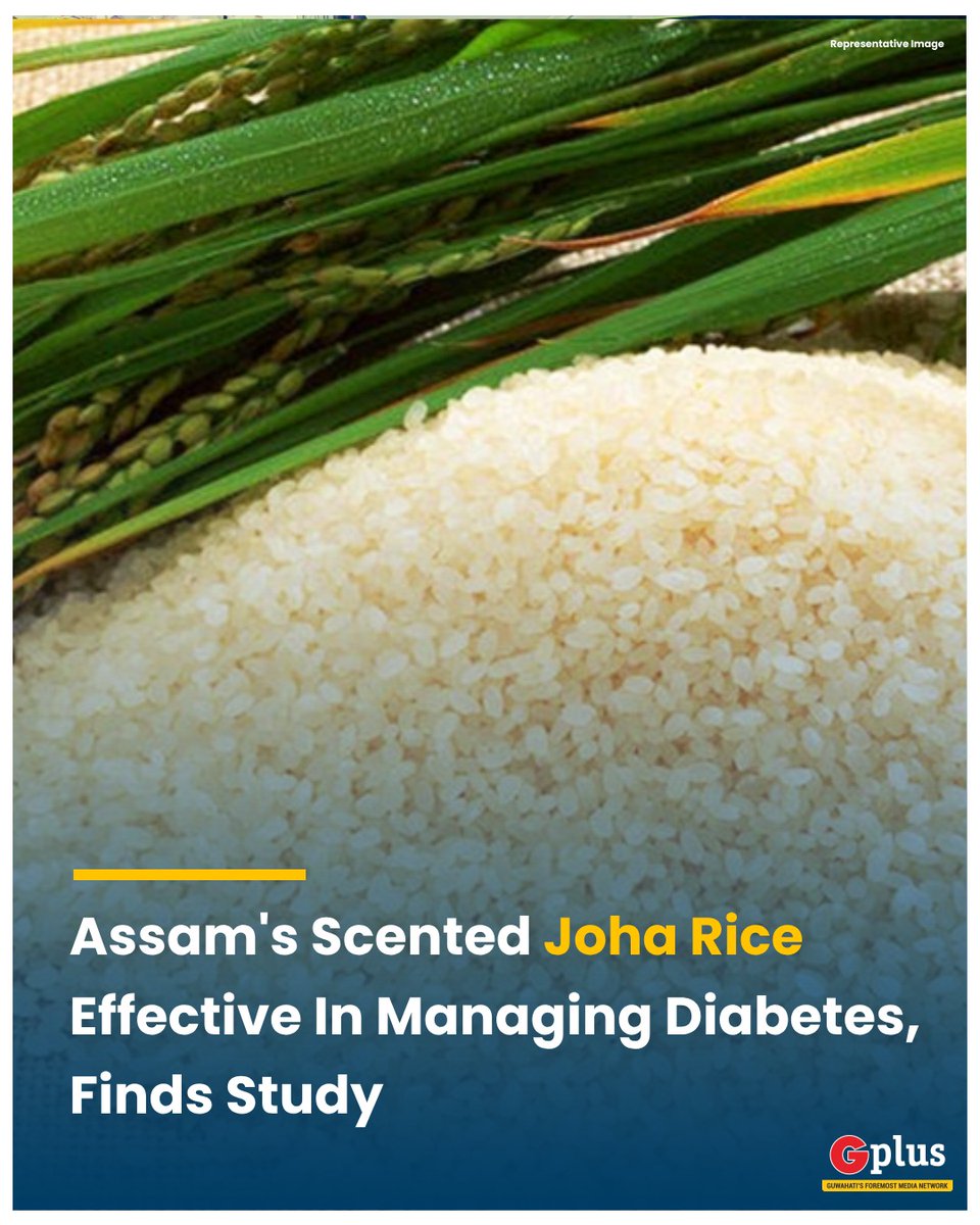 guwahatiplus's tweet photo. Researchers at the Institute of Advanced Study in Science and Technology (#IASST) have investigated the nutraceutical properties of #Joha rice and found that they are effective in #Diabetes management.   

#Assam @dir_iasst @RanjeetkrDass @mygovassam https://t.co/SrdaF1OOgx