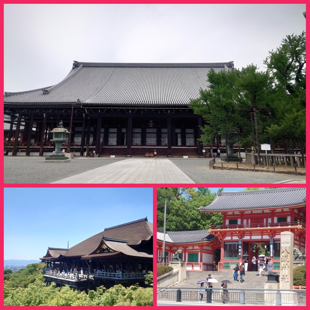 violetEustoma's tweet photo. 京都一人旅。
暑い熱い😮‍💨💦💦
人が多い多い。
#西本願寺 は人が全くいなくて
落ち着けた。
綺麗にしてあり静か、日常の雑踏を忘れることが出来た。
いろいろあったので、来てよかった。 https://t.co/2kABuiRDxc