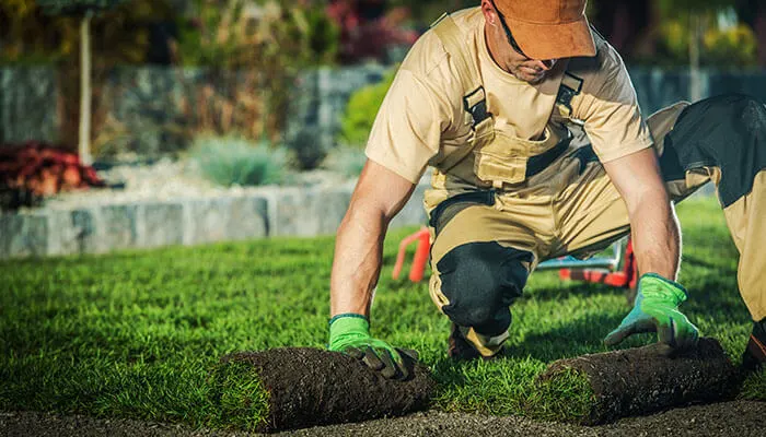 Running a Successful Landscaping Business

#landscaping #creativity #landscapingbusiness #OutdoorLiving #gardeninspiration  #gardendesign  #landscapearchitecture #landscapingcompany #naturelovers  #BusinessGrowth @TycoonStoryCo @tycoonstory2020 
tycoonstory.com/running-a-succ…