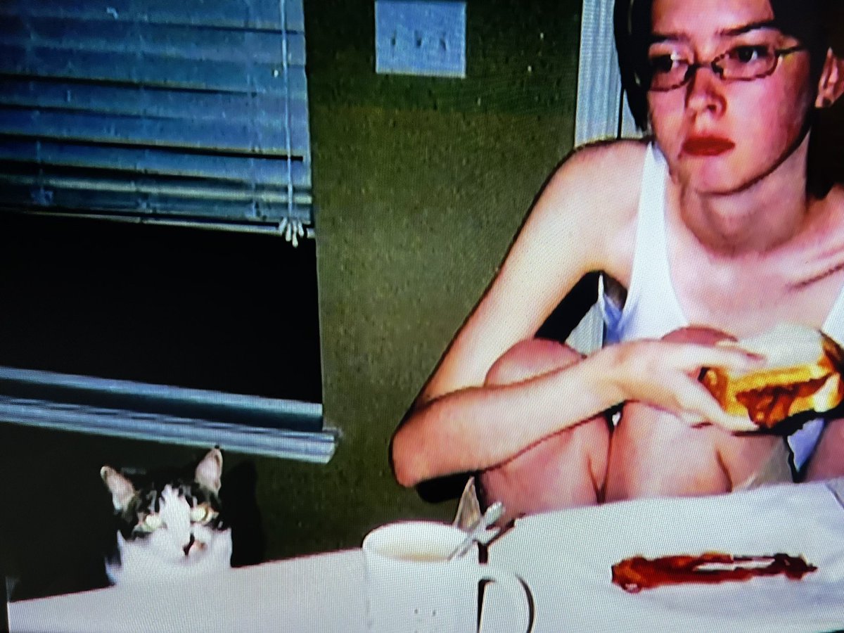 5notebooks's tweet photo. The true hero of Cycle 15
#baconcat #PodLedom https://t.co/JnDaJCpDNG