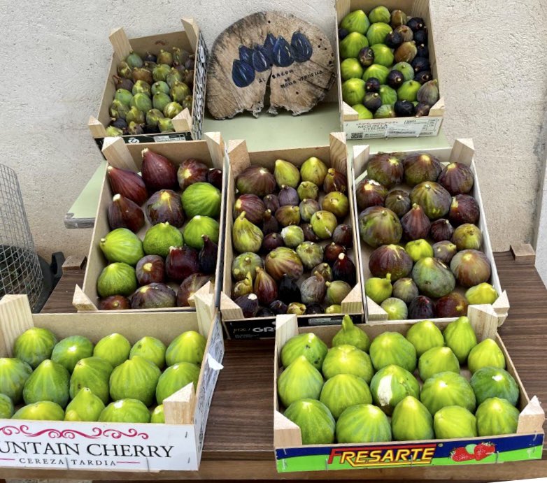 JCCapel's tweet image. Temporada de higos. Un paseo apasionante por el parque #sontmutnou en Mallorca con más higueras (1.486 variedades) del mundo. Visita guiada 5€. Su tienda con mermeladas, mostazas, panes y vinagres de higo un destino singular para gourmets y cocineros.  elpais.com/gastronomia/ga…
