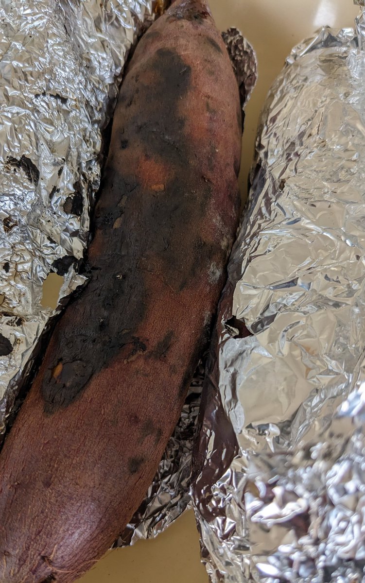 やきいも。 https://t.co/vrfodDYbJc