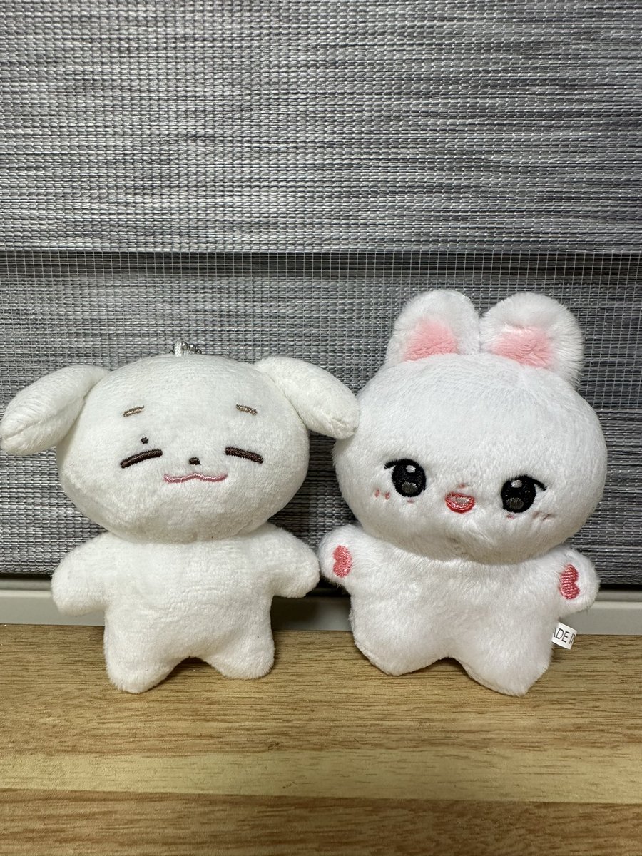 나름 털 정리한다고 했는데 그래두 너무 기엽자나...💕