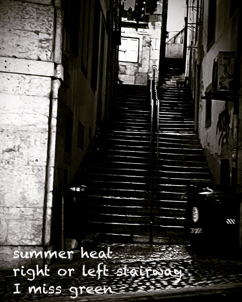 #haiga #haiku #senryu #poetry #micropoems #photography 
 #俳句 #Shahai #Lisbon #portugal

summer heat
right or left stairway
I miss green