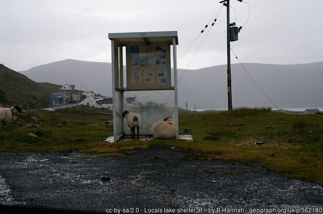 Picture of the Day from #NorthHarris, 2007 
#sheep #shelter #islandlife #village #Ardhasaig #WesternIsles/#NahEileanananIar geograph.org.uk/p/562140