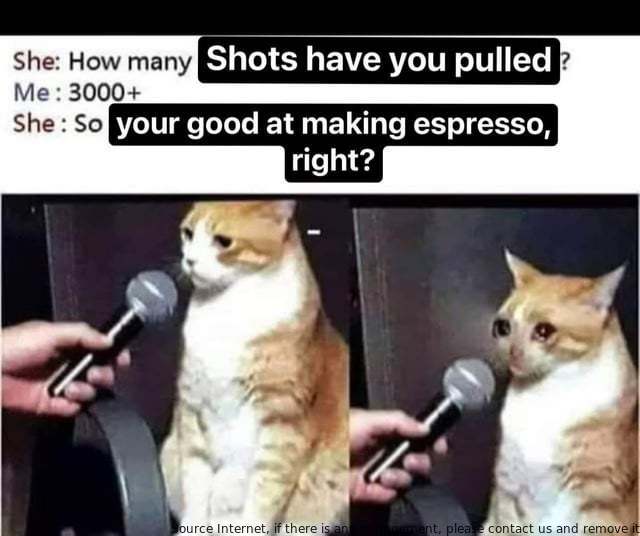 JBLACKW73638451's tweet photo. Inspired by my love of coffee, I decided to take the plunge and learn how to make my own. After browsing through online resources, I ended up selecting a simple home espresso maker from Amazon. The hardest part was choosing the beans https://t.co/NcuEMSpXLq
