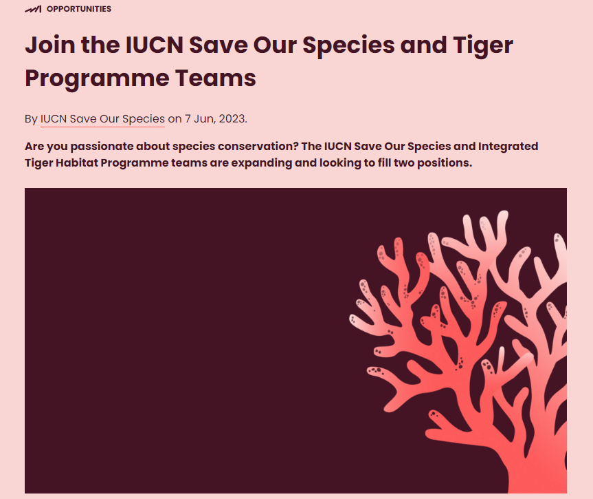 Happened to come across this, in case of interest to people interested in #conservation /  #biodiversity  / #wildlifeprotection.
#Jobs #jobopportunity 

iucnsos.org/join-the-iucn-…