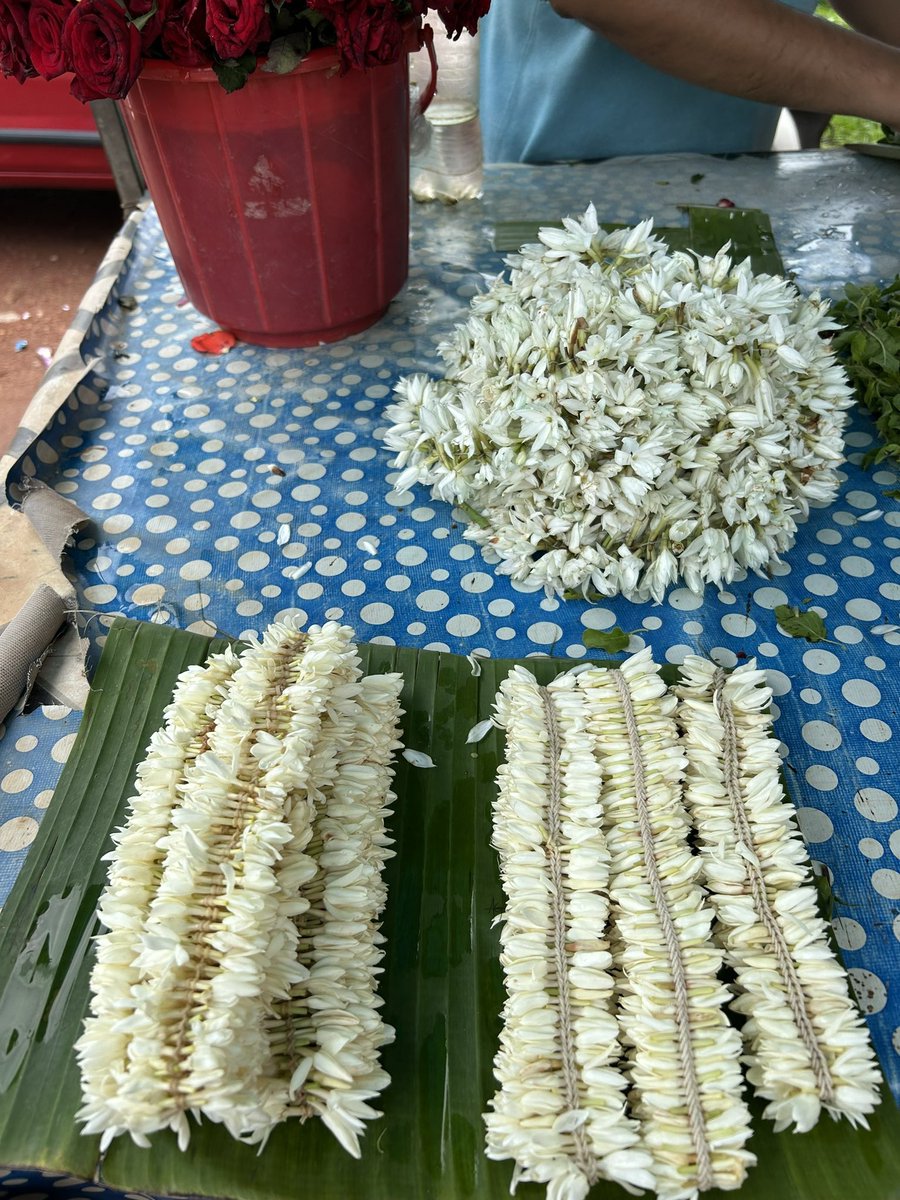 Mallige ♥️

Took this and Arugampul for the deities! 

#Madhur #Kasaragod #Kerala #Malabar #Jasmine #FlowersOfTwitter