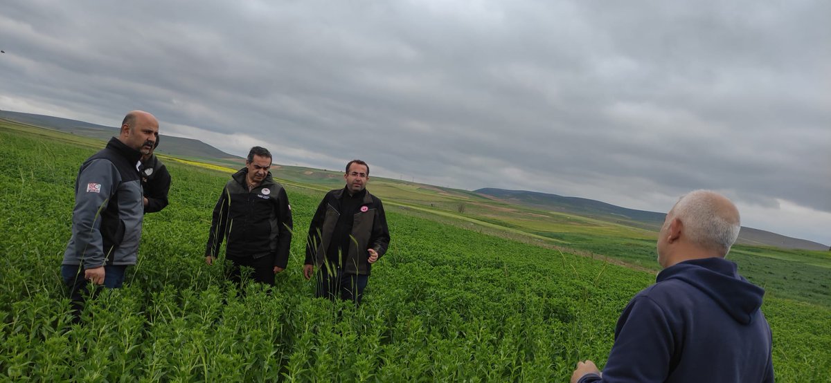 kayseritarimorm's tweet photo. İl Müdür Yardımcımız Ayhan Temiz Bitkisel Üretim ve Bitki Sağlığı Şube müdürümüz, ilçe müdürlükleri ekiplerimiz ile birlikte #aspir ve #ayçiçeği ekili alanlarda hastalık ve zararlı kontrolleri yapıldı.
@ibrahimyumakli @gokmen_cicek_ @MstafaSahin44 @TCTarim @kayserivaliligi https://t.co/DfCuY5giet
