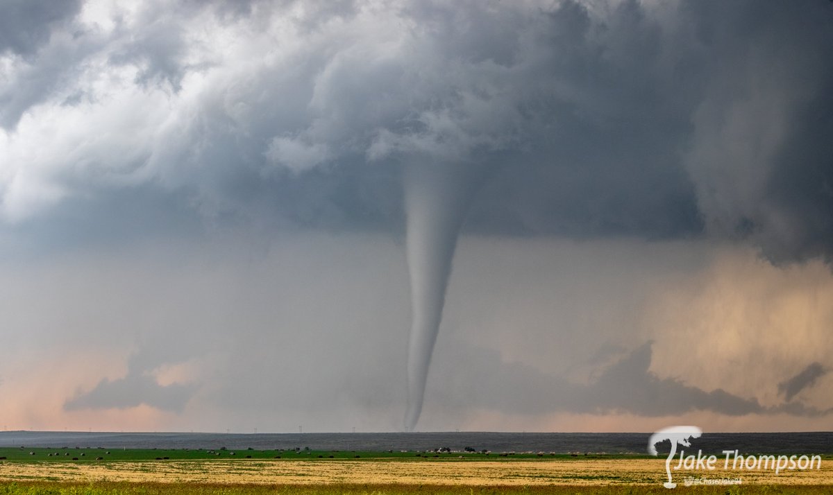 Jake Thompson tweet media