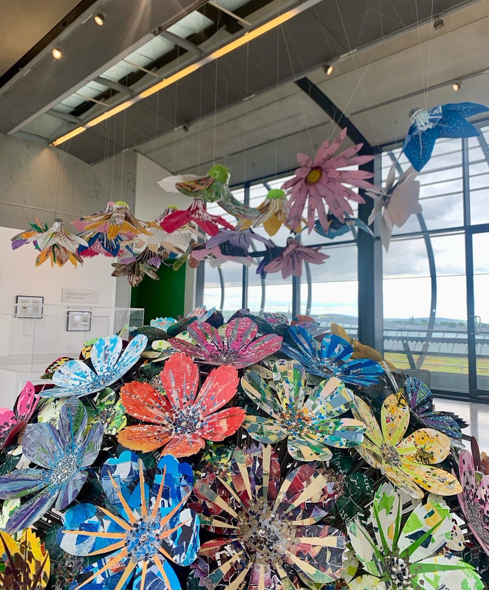 Ruth Moilliet tweet media