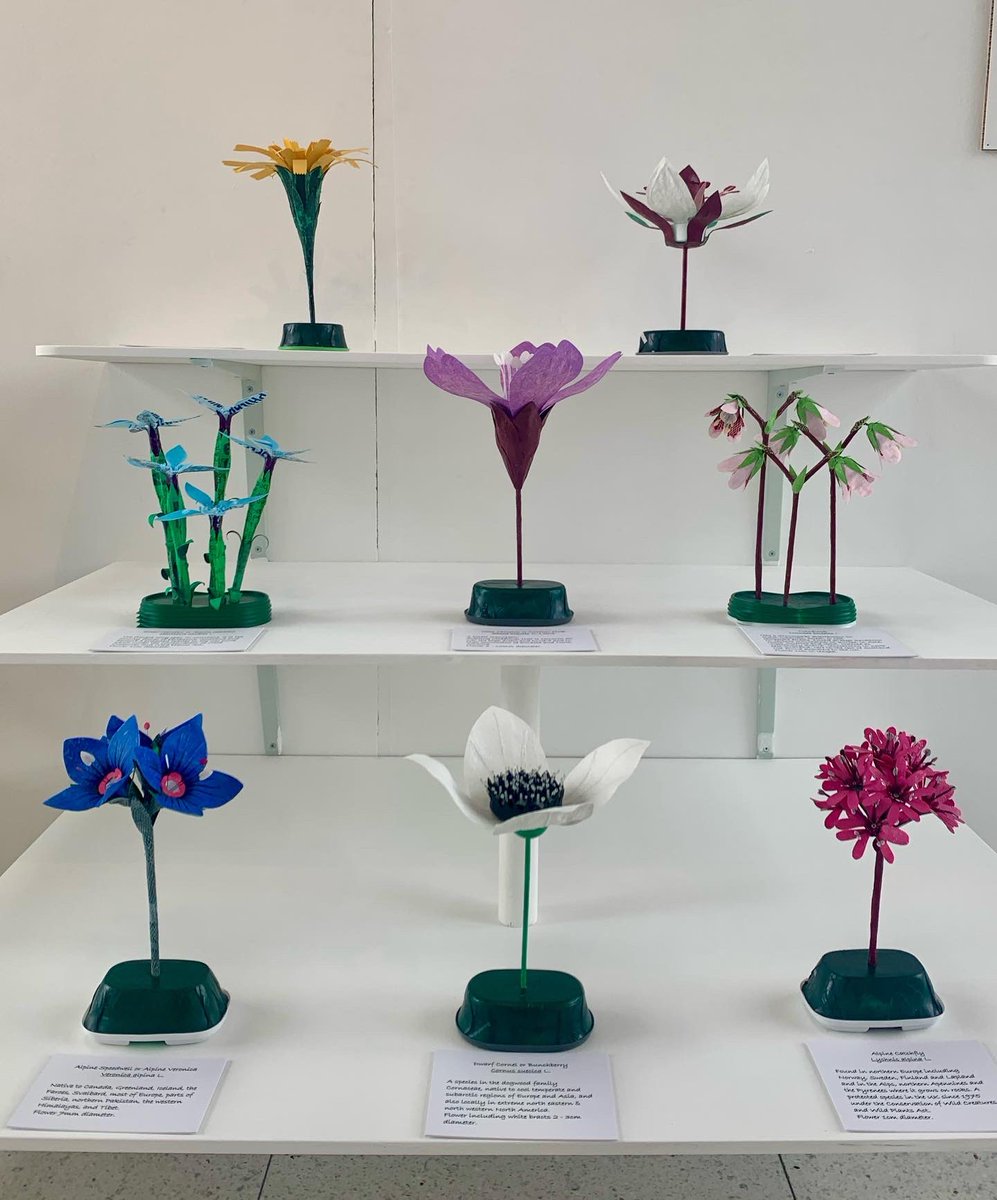 Ruth Moilliet tweet media