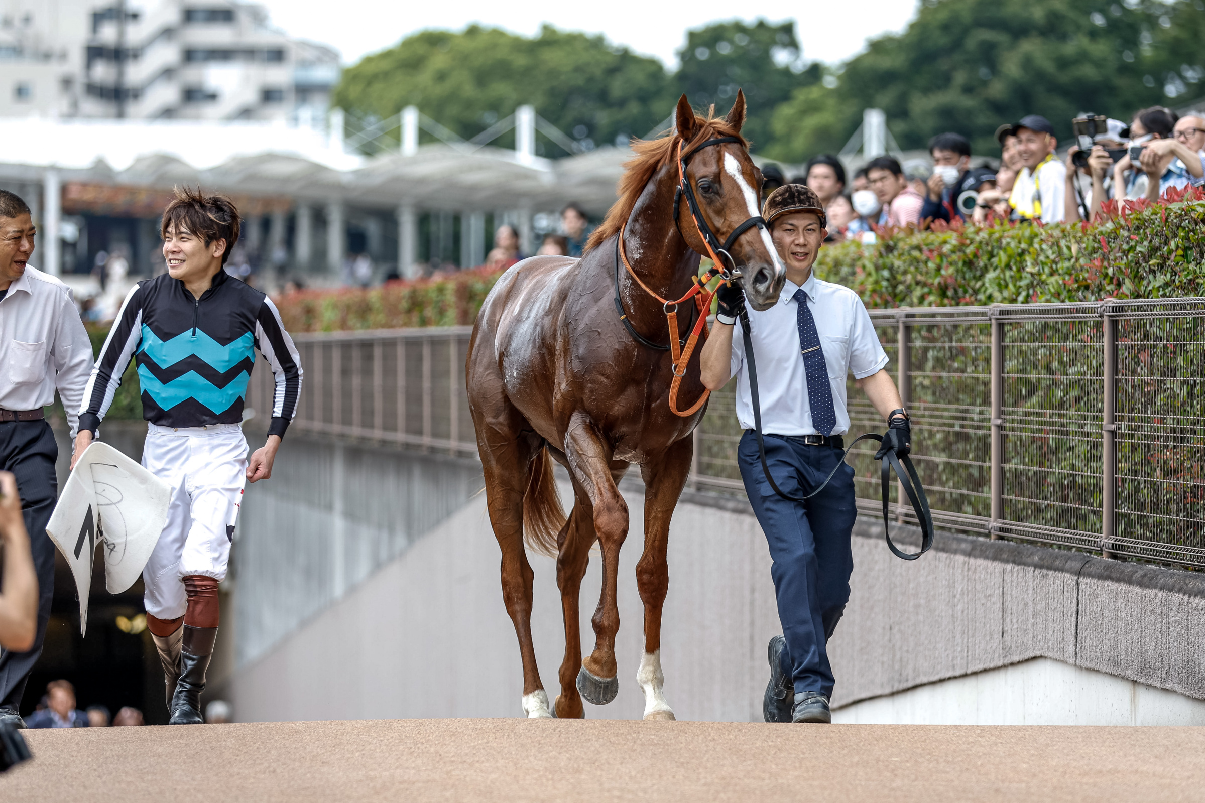 中古】 格闘技に生きる 新星マーシャル・アーツー勝利への 中古】 格闘技に生きる 新星マーシャル・アーツー勝利への