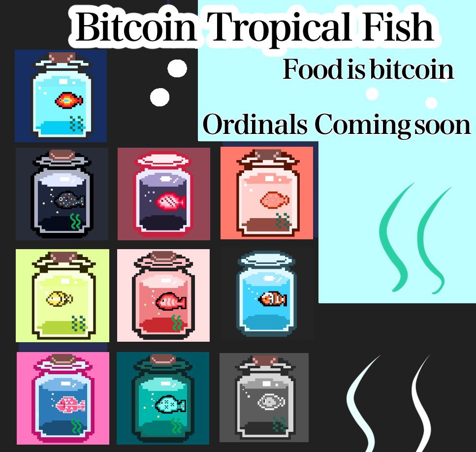 SnrTnk's tweet photo. Bitcoin Tropical Fishさんの紹介です✨

Ordinalsの世界で熱帯魚を飼育しませんか？
ビットコインを食べた魚達は進化、成長し。夢を大きくし可能性を広げます。この熱帯魚に想いを託して下さい！

開始したばかりのコレクションです👍

#Ordinals #TMJP 

🔗は引用の引用から⬇️ https://t.co/DAhiTYQe76