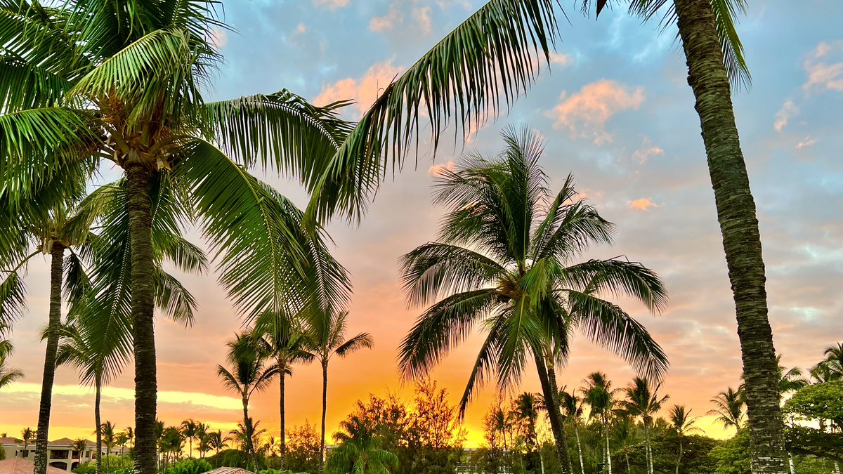 UTokyoUkulele's tweet photo. 8年ぶりのハワイ🌴✨ https://t.co/GVlyjUkPkD