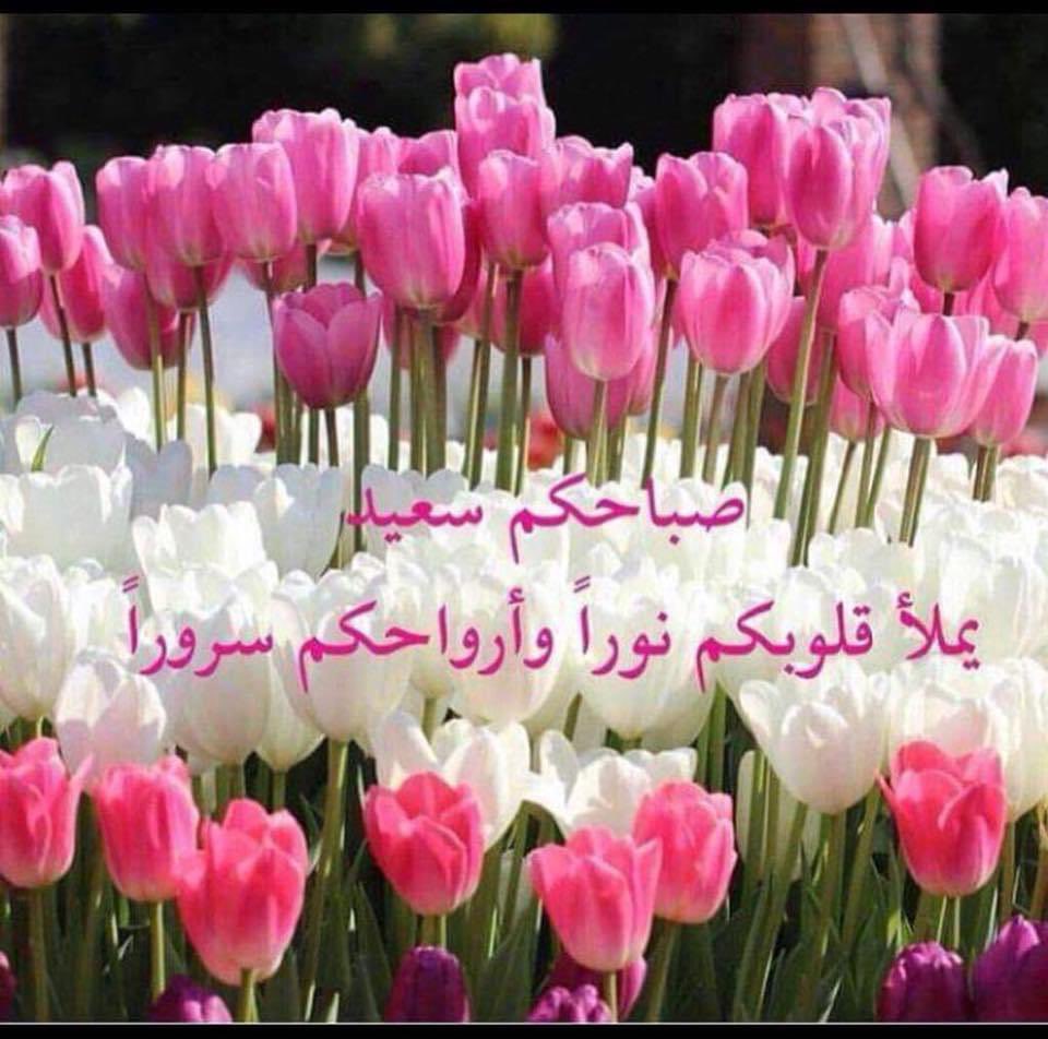 DR.Asia Nugali (@dr_asia) on Twitter photo 