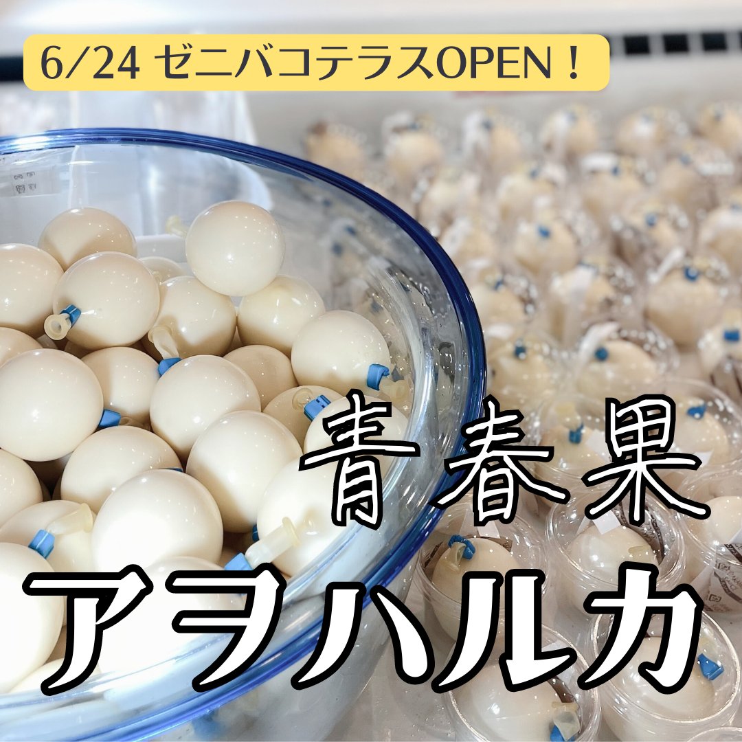 open_close_shop's tweet photo. 2023/6/24
#ゼニバコテラス  グランドオープン！

銭函２丁目旧五号線沿いにあるゼニバコテラスが店舗が増えてグランドオープンしました！

一番右手は
創業５０年卵の #玉よし が運営する
青春果（#アヲハルカ）。

#中札内卵 をたっぷり使用した商品展開が魅力。 https://t.co/ynjcGxW7gt