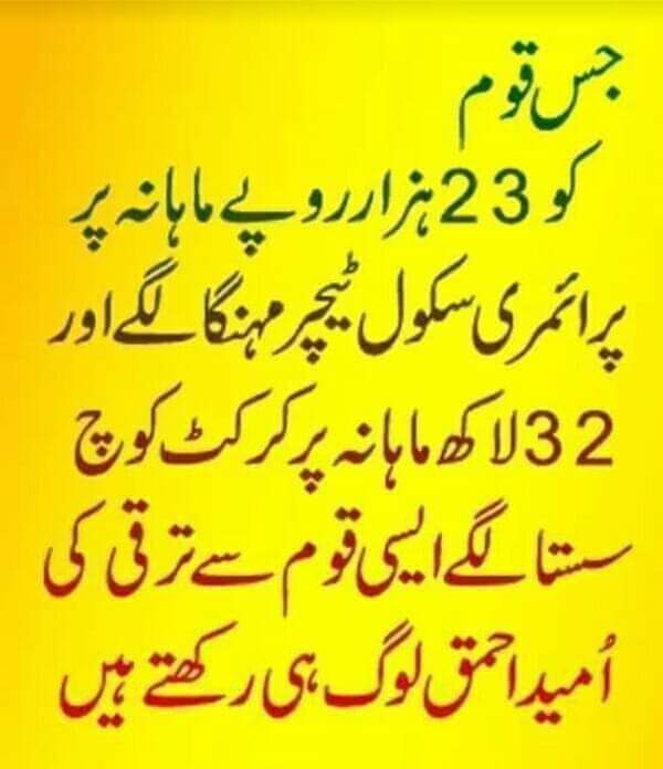 Samina Hafeez Malik (@saminahmalik) on Twitter photo 