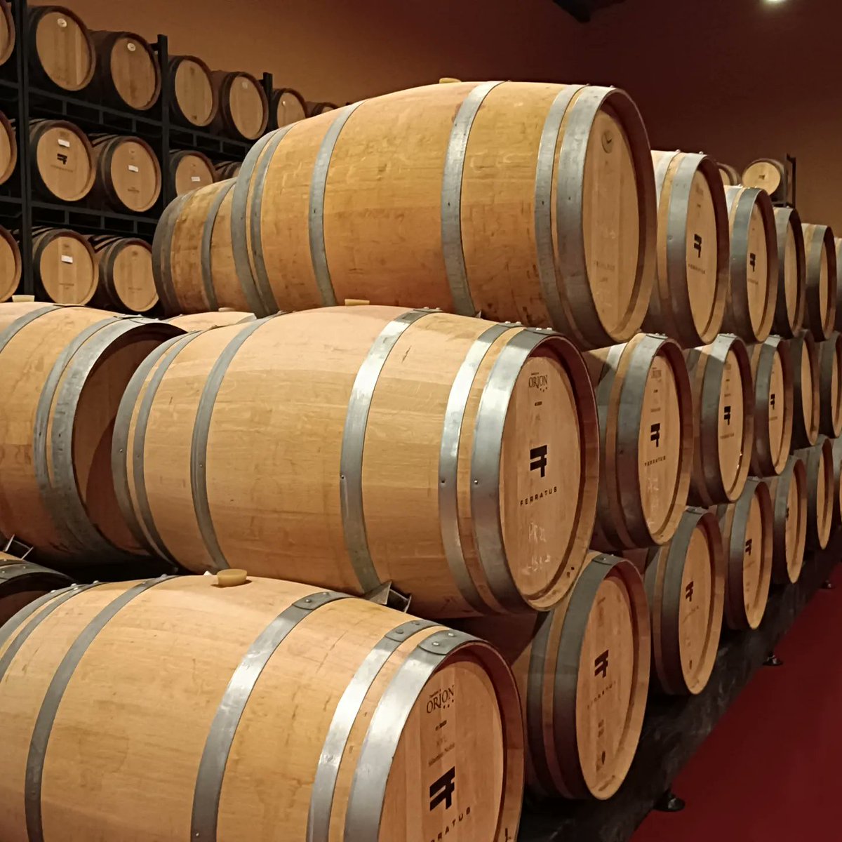cocinafrancia's tweet photo. 🍷¡Feliz 20° Aniversario, Ferratus!🍷
La Bodega-Boutique capitaneada por María Luisa Cuevas con pasión y visión de futuro, continúa elaborando grandes y elegantes vinos enmarcados en la DO Ribera del Duero
#ferratus #bodegasferratus #RiberadelDuero #vinoescultura #cocinafrancia https://t.co/FdKn2cDWFq