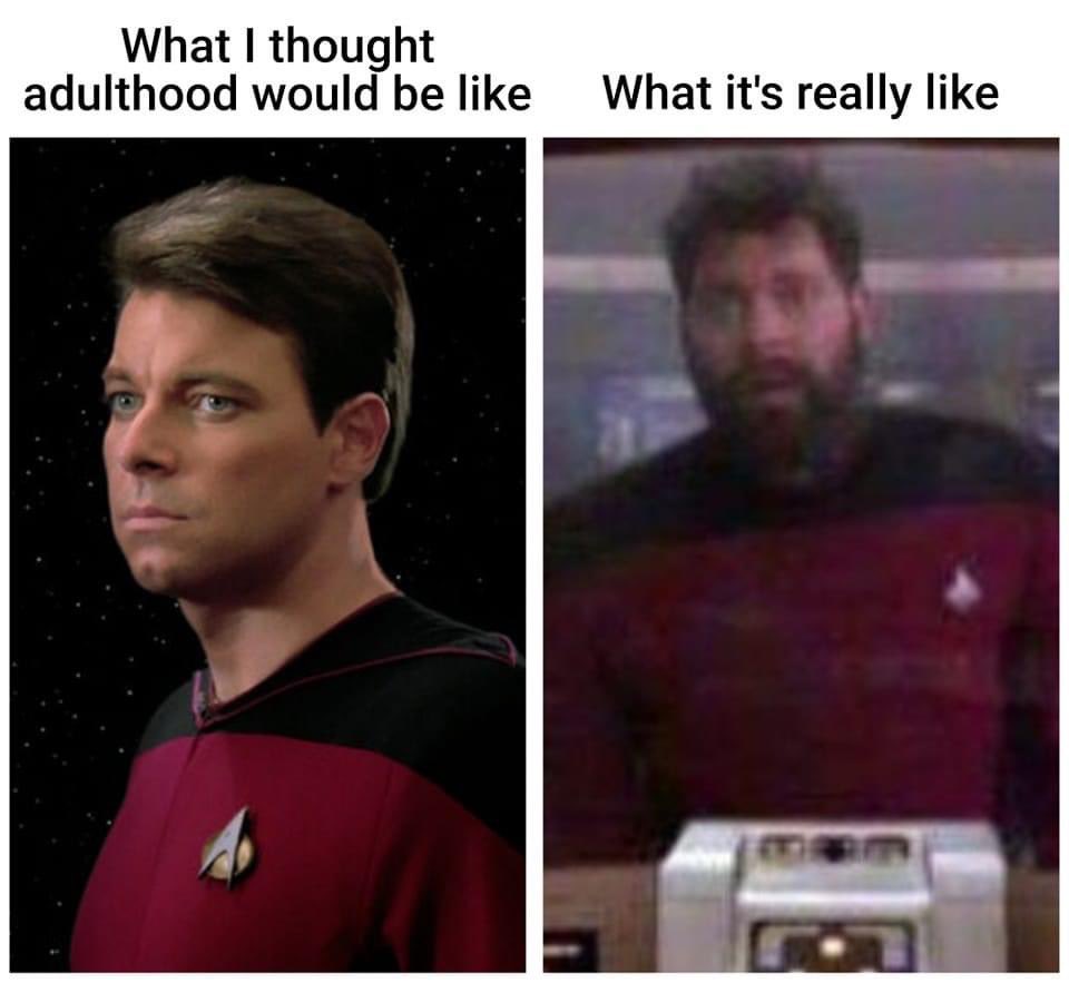 holodeckfour's tweet image. 