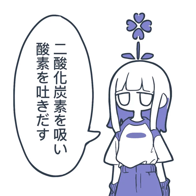 🌺