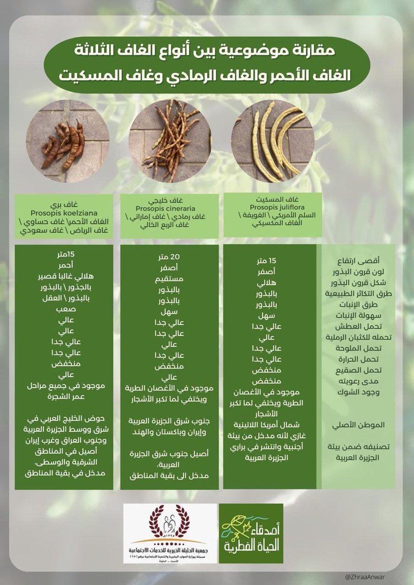 YMuabid's tweet photo. @abu_alyaman001 شكراً لك على هذه المعلومة أخي محمود https://t.co/CiGszWsqus