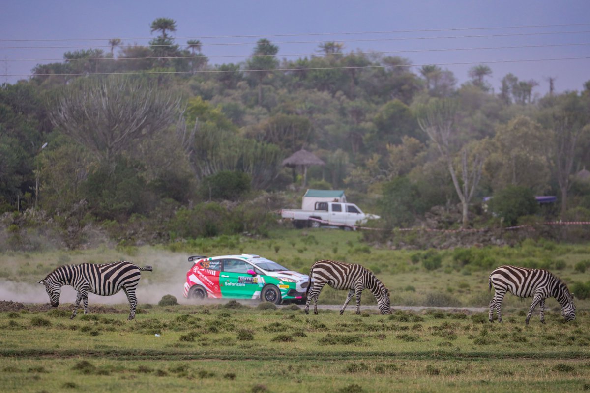 Good afternoon from Soysambu😎 
What a sight beautiful sight @JW_Africa🥳👌 #TeamSafaricom #WRCSafariRally #TheWorldIsYours #MPESAGlobalPay