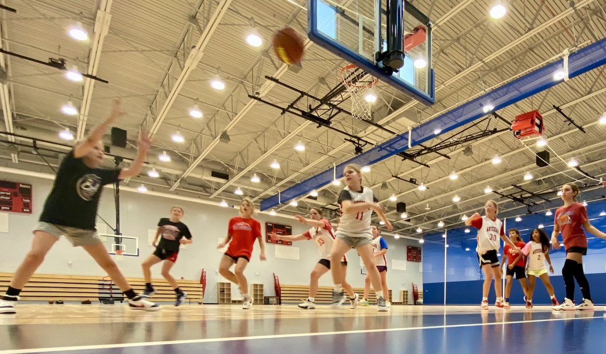 Lady Artesians Basketball tweet media